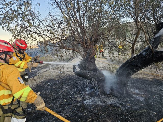 Conato de incendio forestal cerca de la Hurona, Molina de Segura