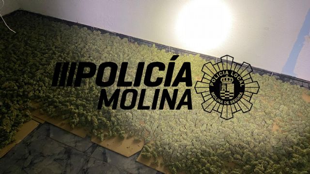 La Policía Local de Molina de Segura localiza una plantación de marihuana en una vivienda