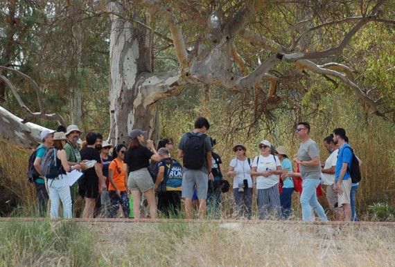 El proyecto 'Anillo verde transformador de Molina de Segura' hace balance de las actividades de comunicación desarrolladas en esta primera fase